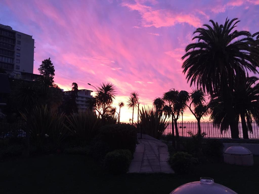 un coucher de soleil avec des palmiers devant une clôture dans l'établissement Playa Miramar, à Viña del Mar