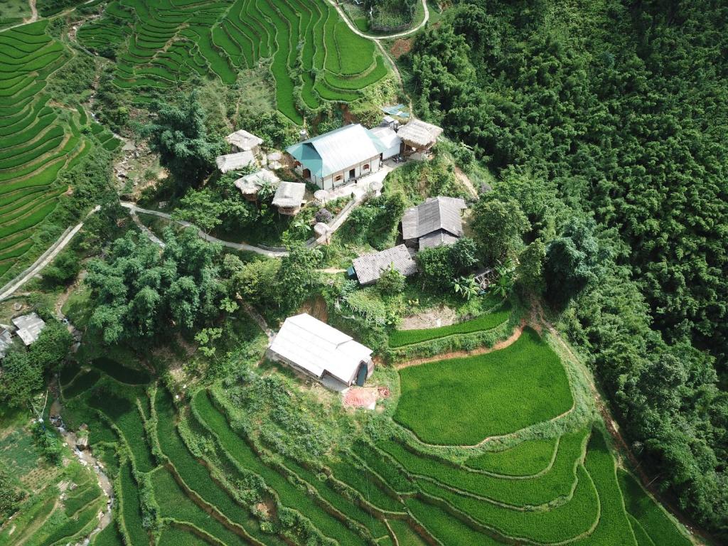 an aerial view of a farm with a house and trees at Eco Hills Homestay in Sapa