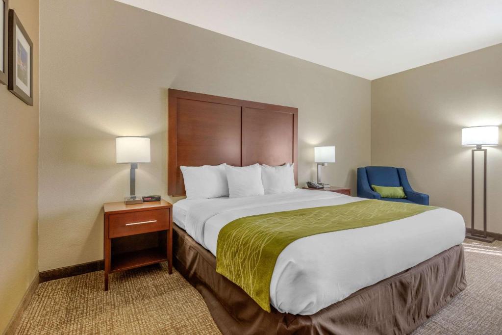 Comfort Inn Lenoir City-Knoxville - Room King Con Ducha Enrollable: Accesible/no Fumar