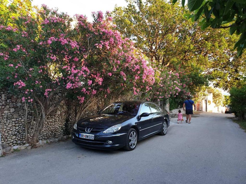 Fotografie z fotogalerie ubytování Villa Nadalina v destinaci Sutomore