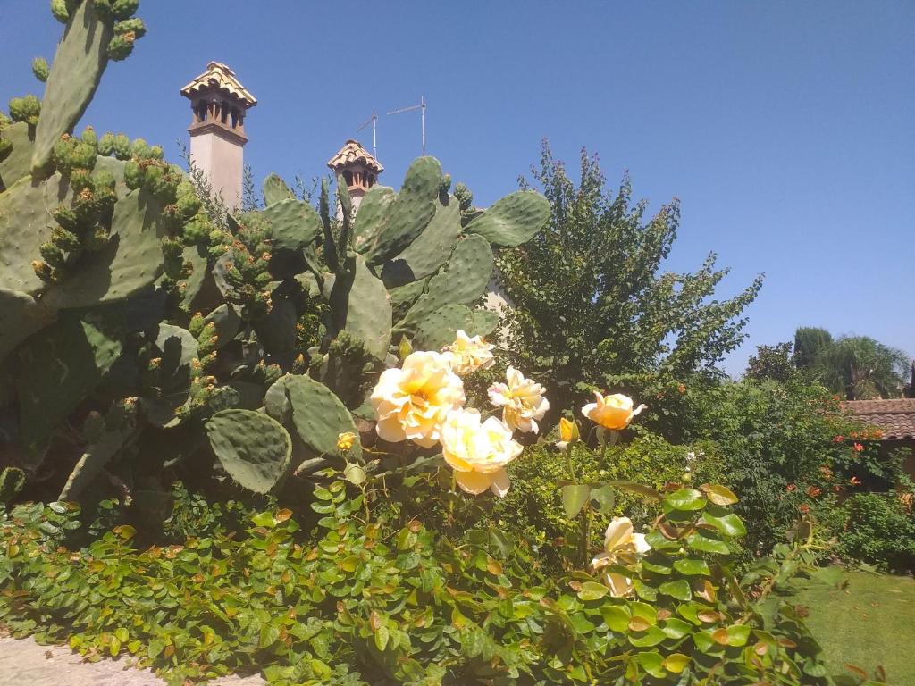 Ogród w obiekcie Villa Vittorio