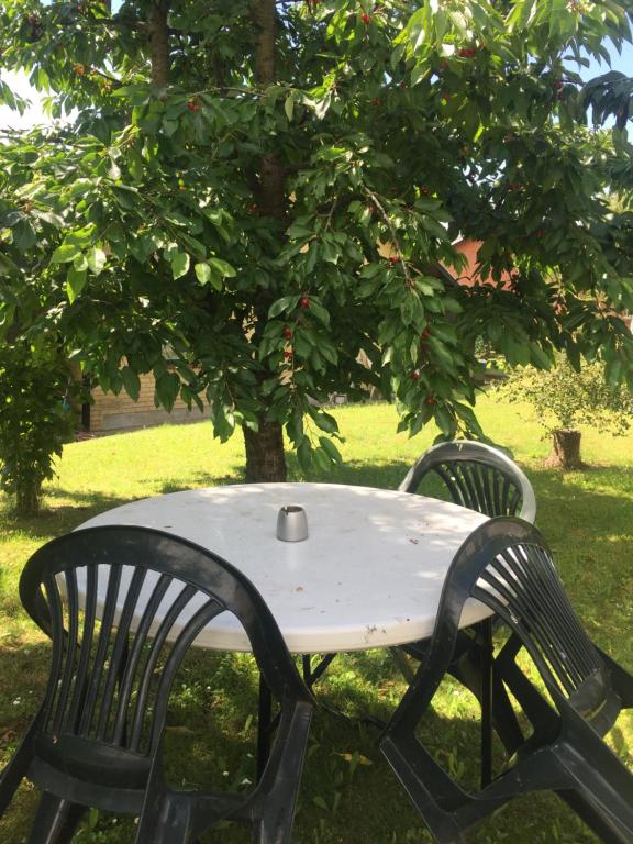 Zahrada ubytování La Casita de Milen