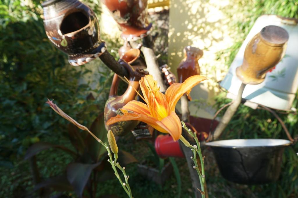 ハイドゥーバサルミーニにあるPiri Vendégházの鉢の隣の黄花の近