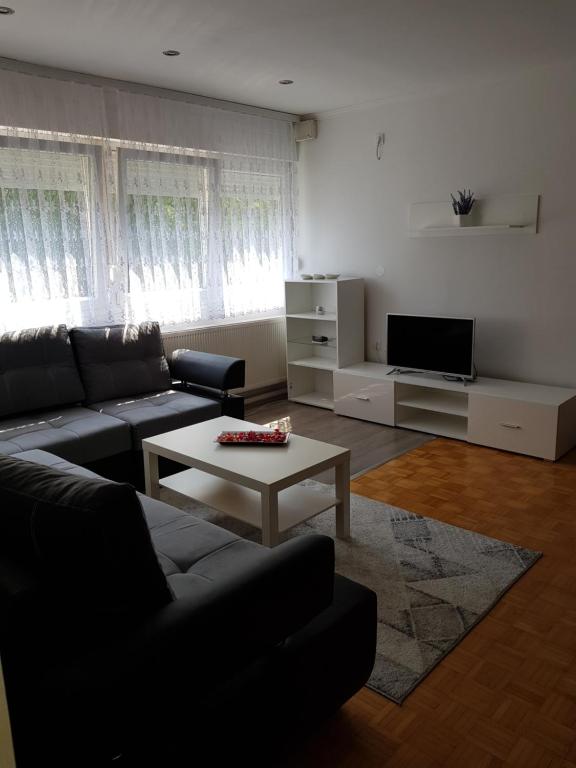 TV a/nebo společenská místnost v ubytování Apartman Taša