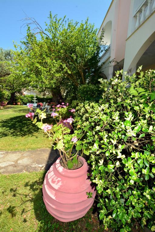 Zahrada ubytování Villa Eden