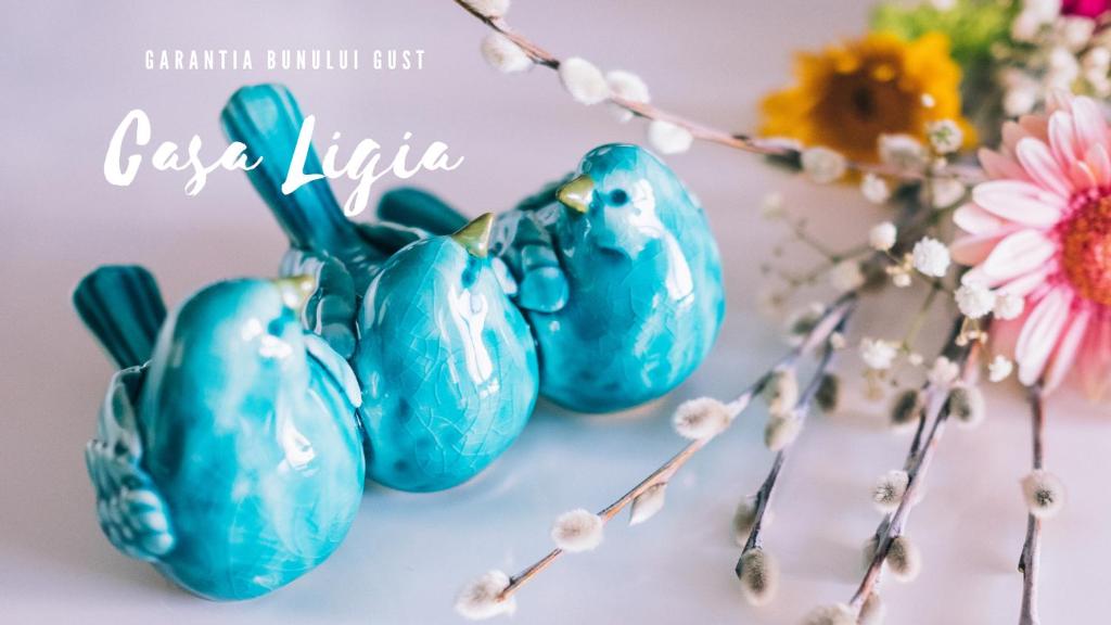 Fotografie z fotogalerie ubytování Casa Ligia v destinaci Techirghiol