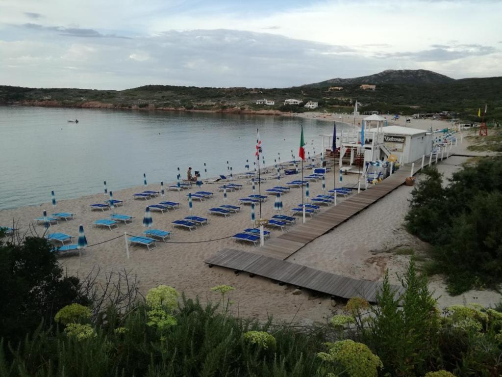 a beach with blue chairs and people in the water at Le Rose Marine in Isola Rossa