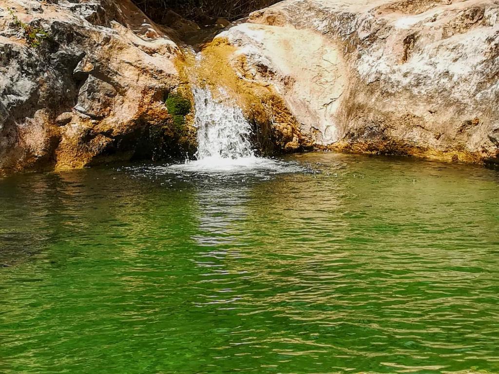 Příroda nedaleko venkovského domu