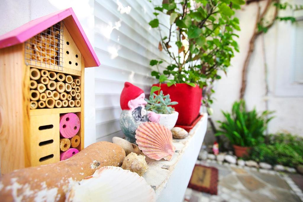 a shelf with a bird house and some plants at Apartments Baredi in Izola