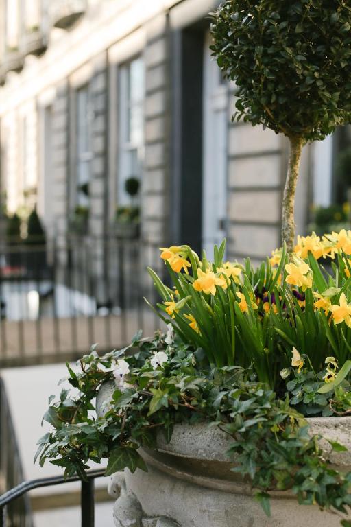 Nira Caledonia - Resim 22