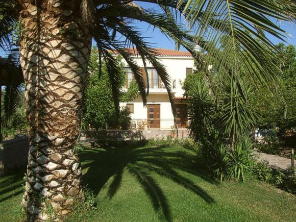 a palm tree in front of a house at Nadia Apartments in Mythimna
