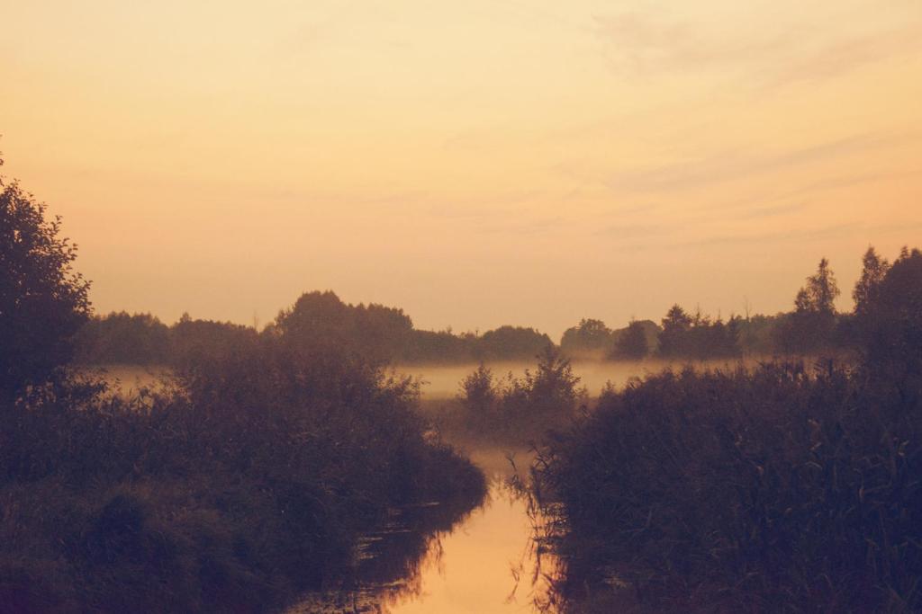 a view of a river with trees in the distance at Ostoja in Białowieża