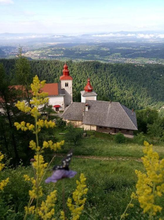 Příroda nedaleko apartmánu
