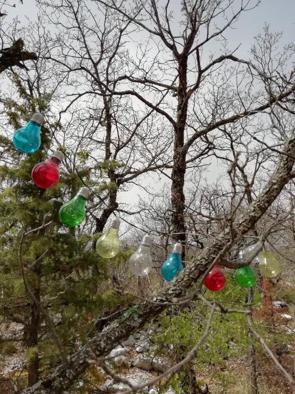 a group of glass bottles hanging from a tree at LA MAGUETTE in Sault-de-Vaucluse