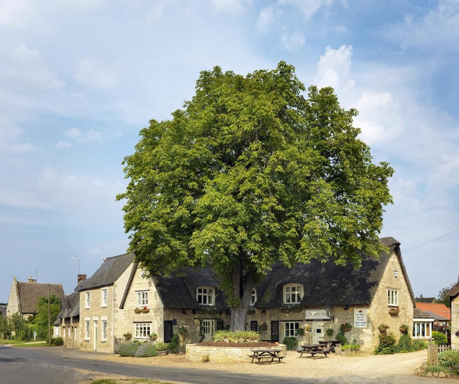 a large tree in front of a large building at The Crown Inn in Peterborough