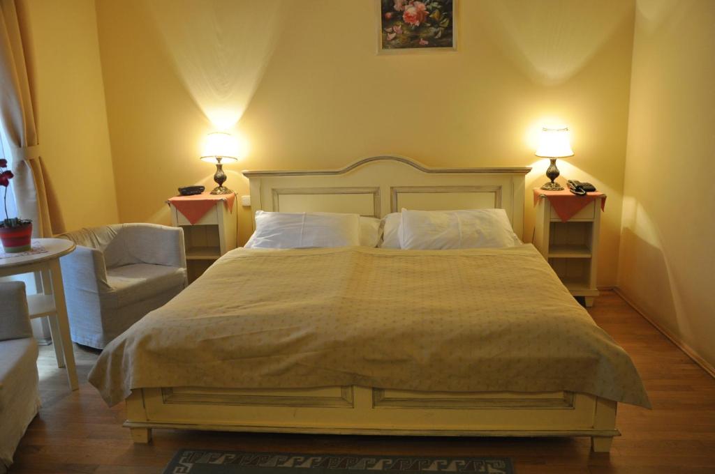 Hotel Cerny Slon - Resim 27