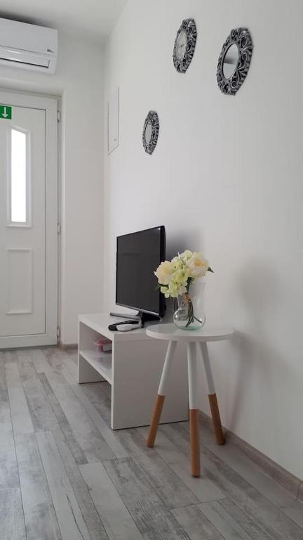 TV a/nebo společenská místnost v ubytování Apartman Lidija