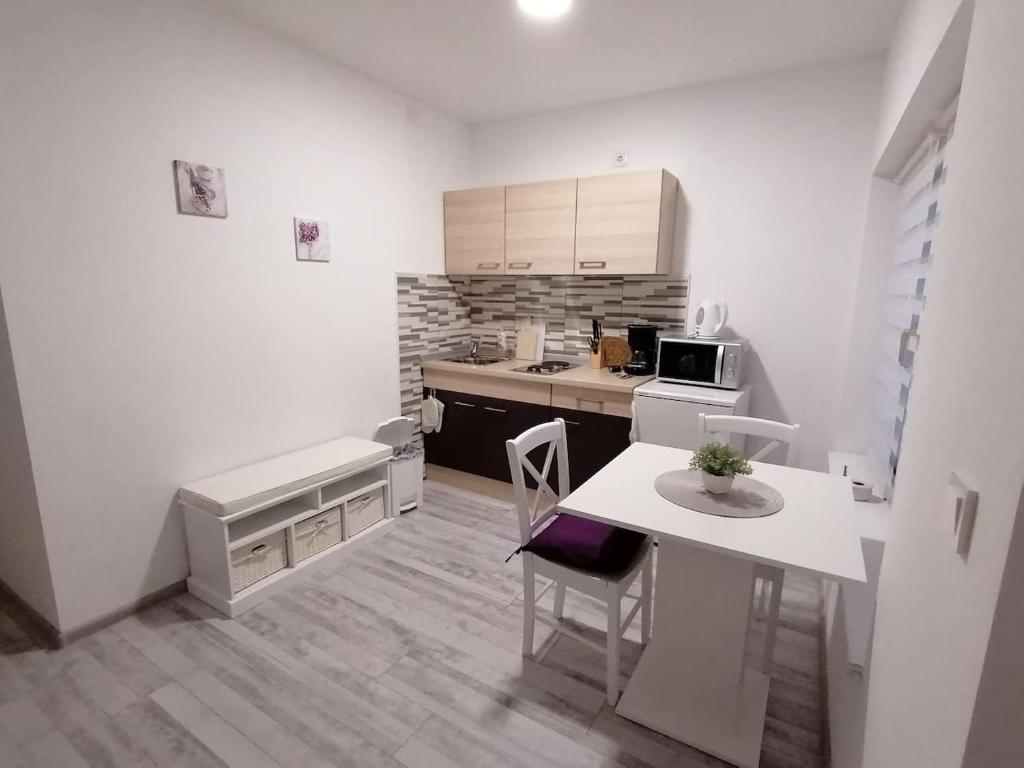 Kuchyň nebo kuchyňský kout v ubytování Apartman Lidija