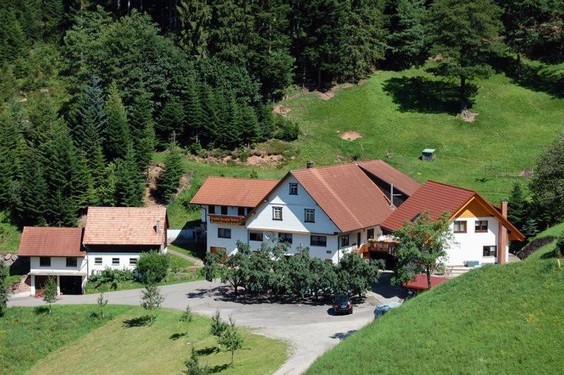 een luchtzicht op een huis op een heuvel bij Holderstanzenhof in Bad Peterstal-Griesbach