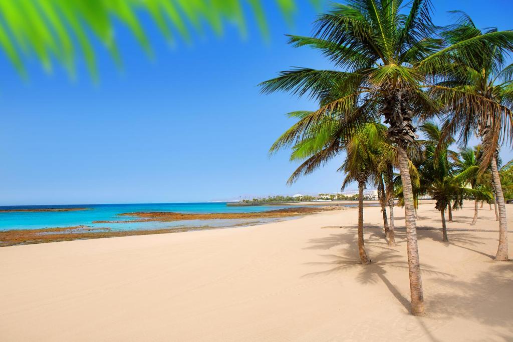 una playa con palmeras y el océano en Arrecife Sands, en Arrecife
