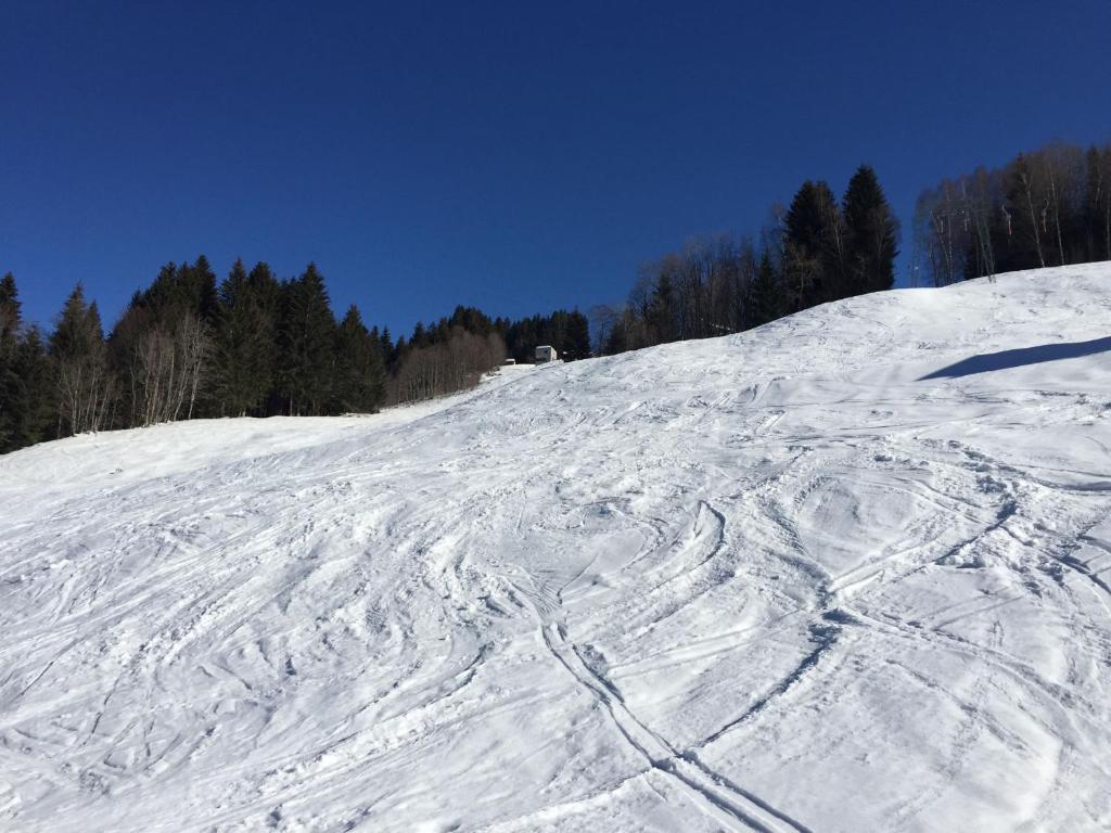 Berg & Skihütte -Schmittenhof v zimě