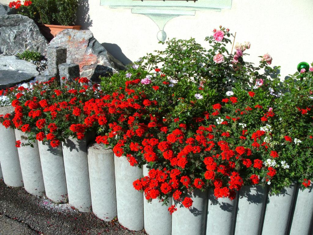 Zahrada ubytování Hotel Garni Ingeborg