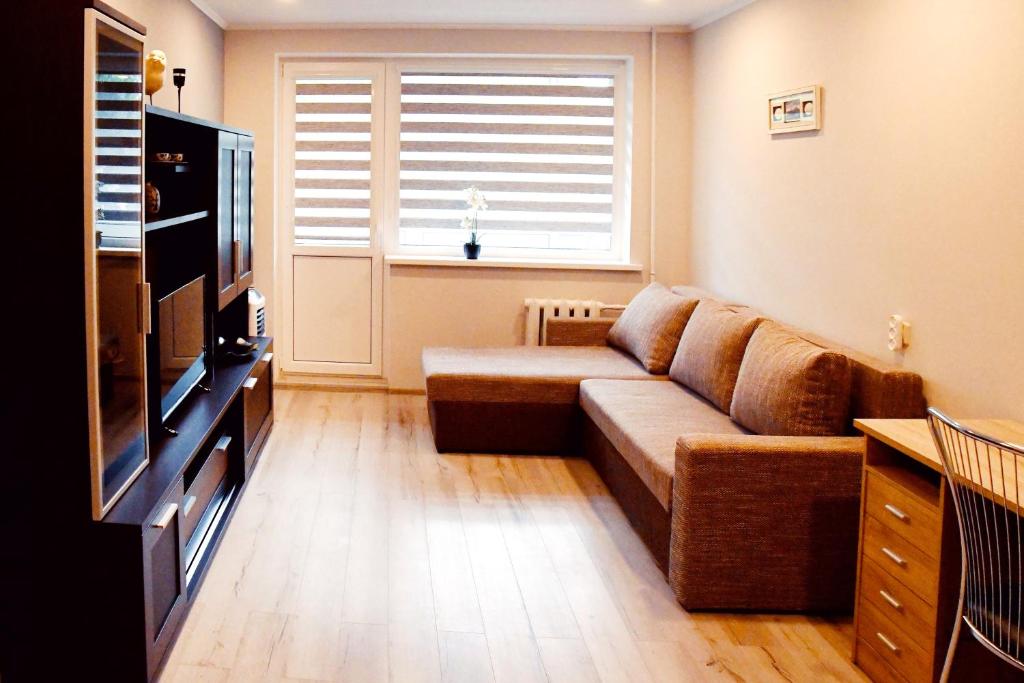 a living room with a couch and a television at Relax Inn Druskininkai in Druskininkai