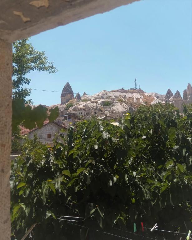 Homestay Cave Hostel - Large Double Room