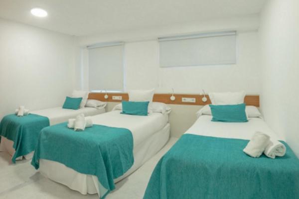 BC Music Resort - Deluxe Apartment (6 Adults)