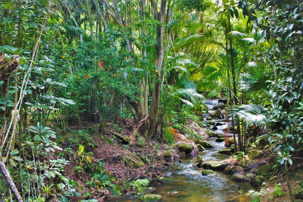  Cachoeira e Praia em Siriúba