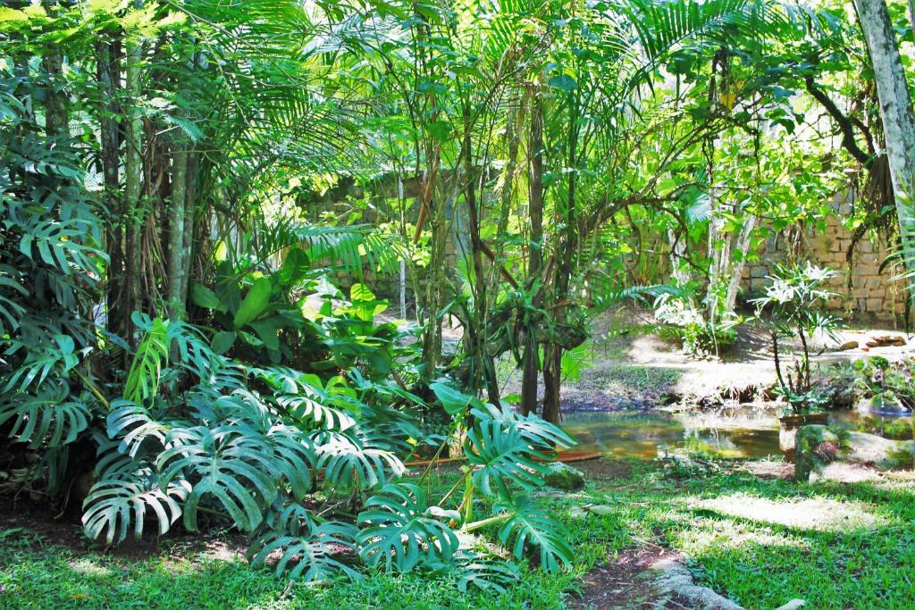  Cachoeira e Praia em Siriúba