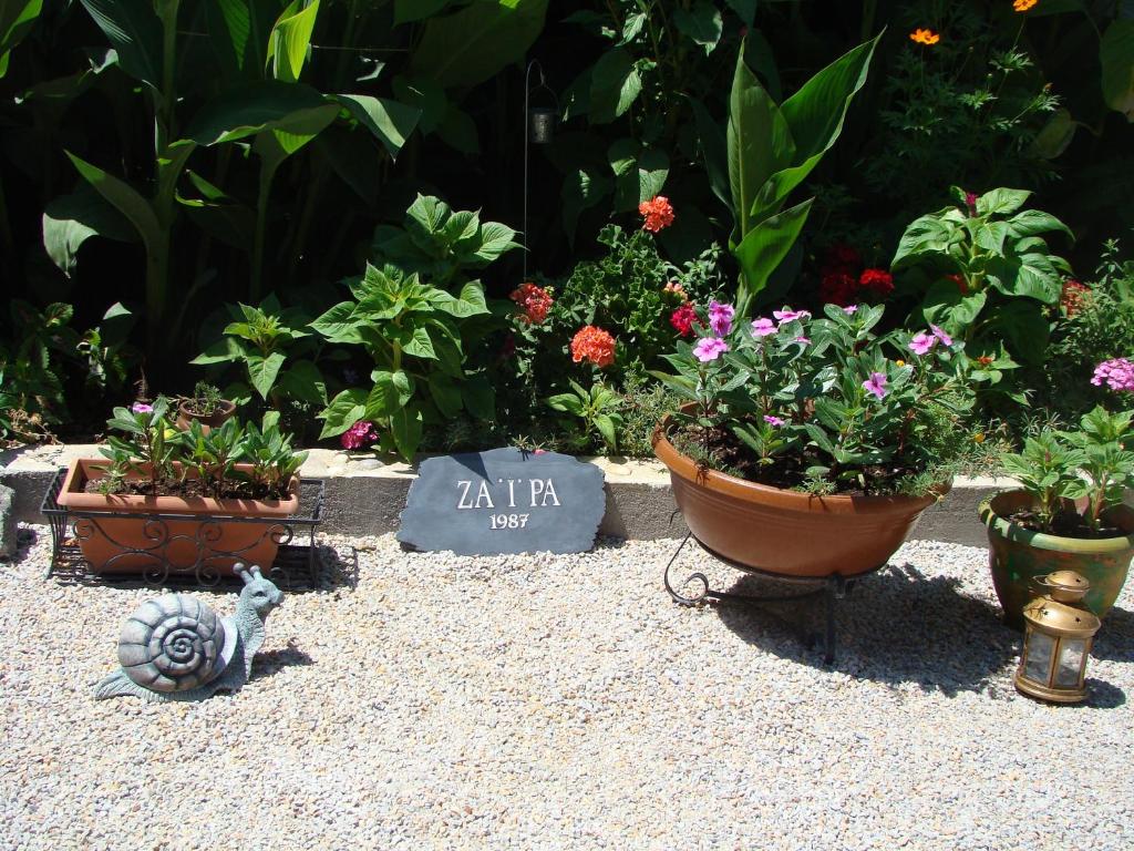 um jardim com vasos de plantas e uma placa no chão em Zaira Studios em Skala Eresou