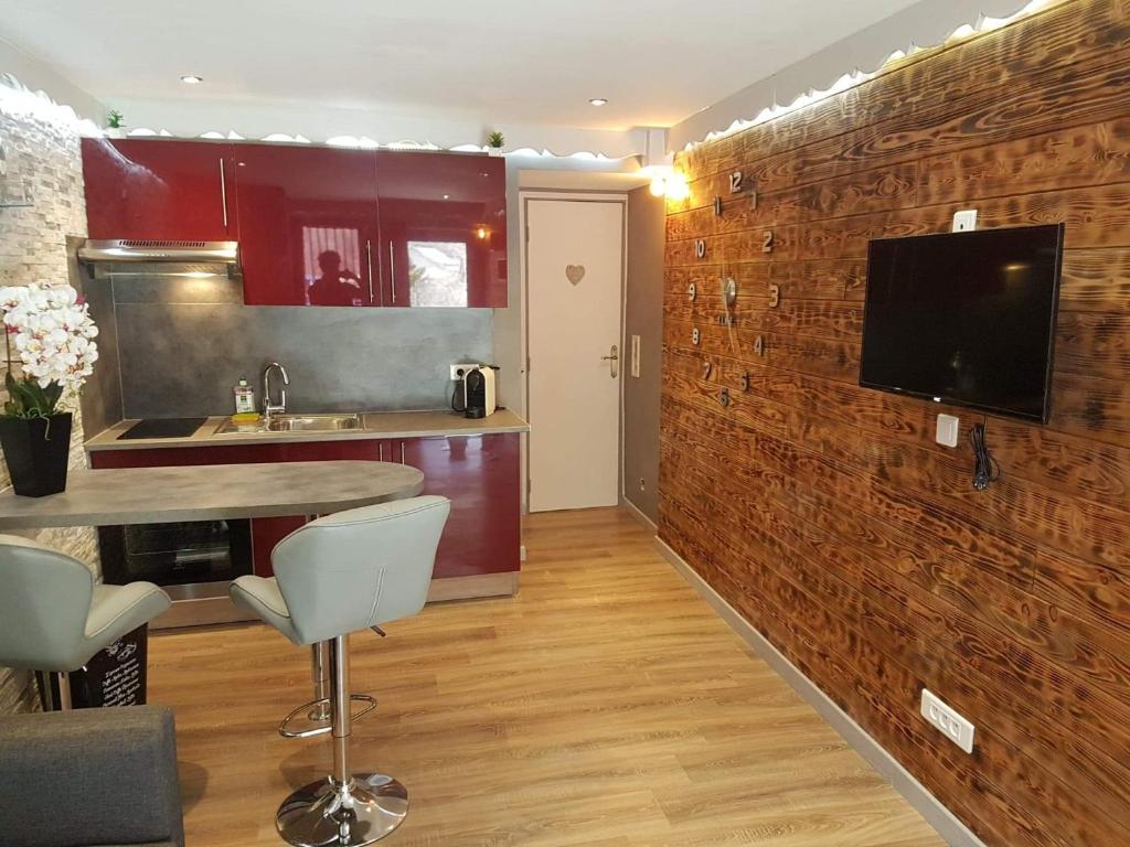 a kitchen with a tv on a brick wall at Le nid douillet in Saint-Étienne-de-Tinée