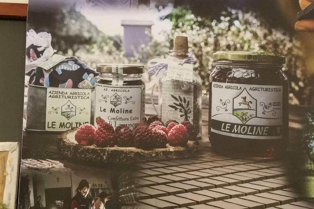 Fotografie z fotogalerie ubytování piccolo casale a "le Moline" in una vera fattoria v destinaci Vetralla