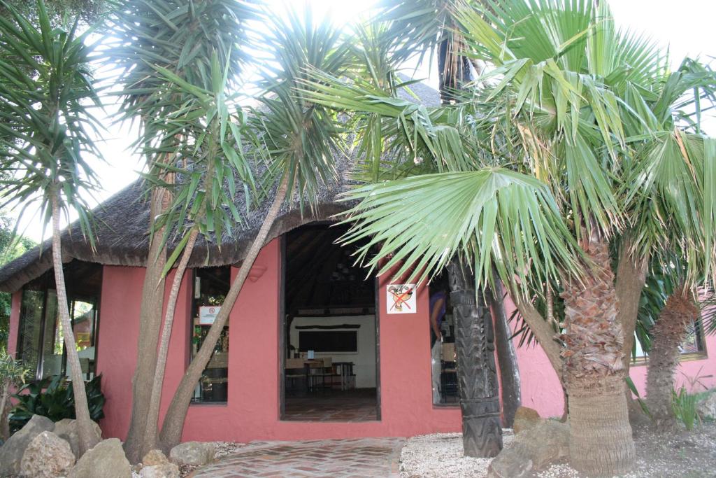 100% Fun, Tarifa – Updated 2023 Prices