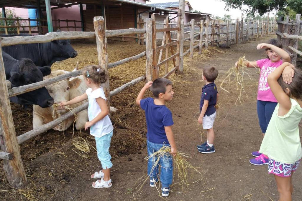 Děti v ubytování piccolo casale a "le Moline" in una vera fattoria