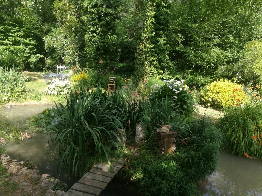 a garden with a pond with plants and a bench at Le Clos du Buisson in Saint-Julien-de-la-Liègue