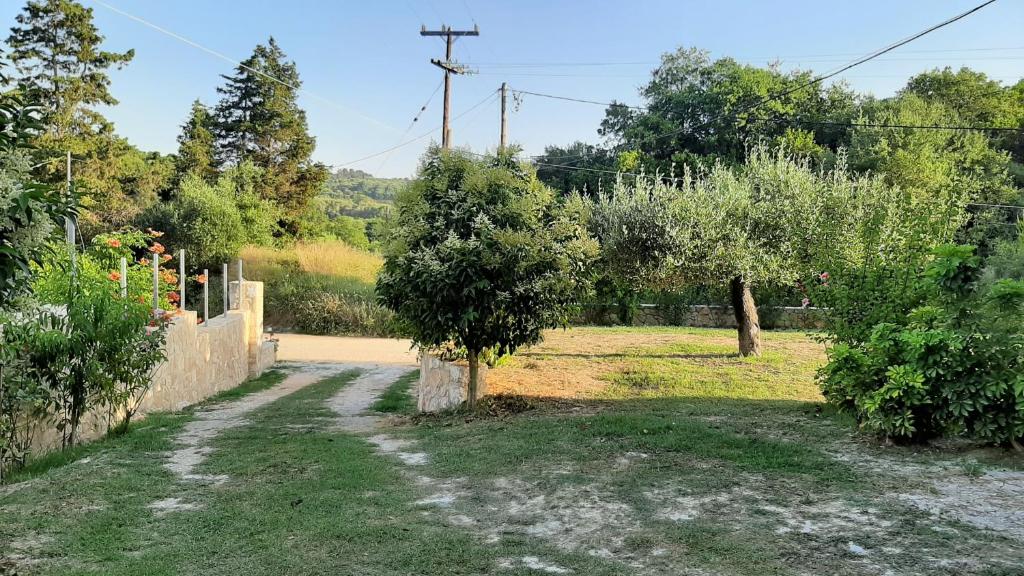 A garden outside Andri House
