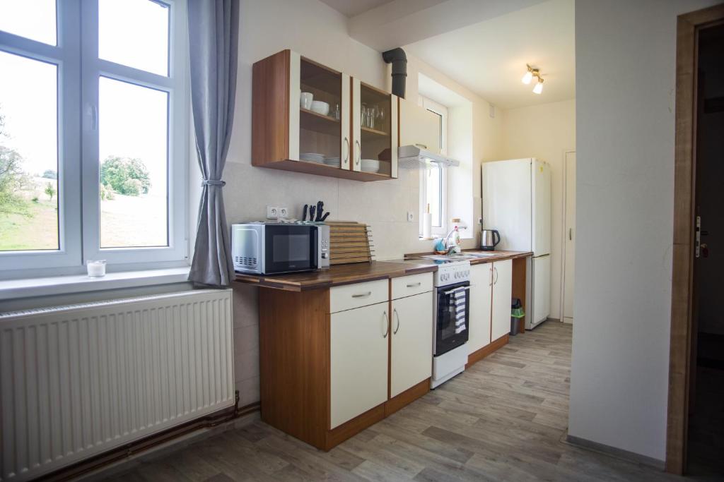 Kuchyň nebo kuchyňský kout v ubytování Apartmány Ve Mlejně