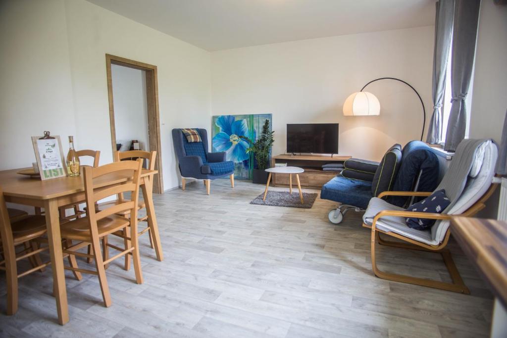 TV a/nebo společenská místnost v ubytování Apartmány Ve Mlejně
