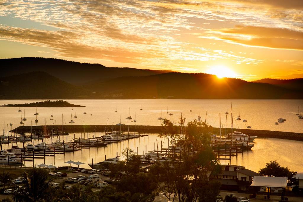 a group of boats docked at a marina at sunset at Sunlit Waters Studio Apartments in Airlie Beach
