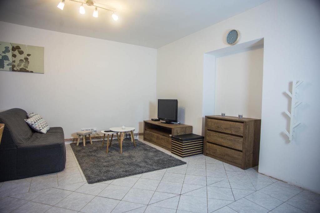TV a/nebo společenská místnost v ubytování Apartmány Ve Mlejně