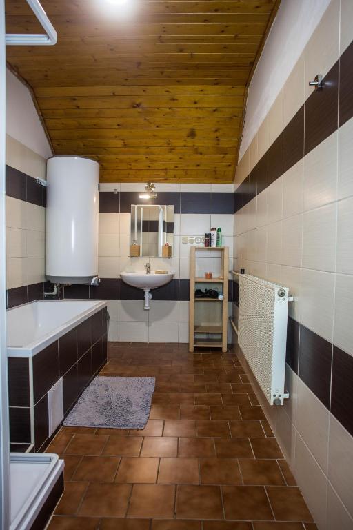 Kuchyň nebo kuchyňský kout v ubytování Apartmány Ve Mlejně