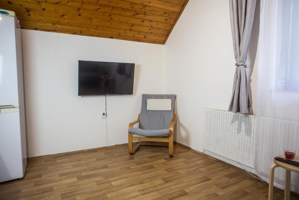 TV a/nebo společenská místnost v ubytování Apartmány Ve Mlejně