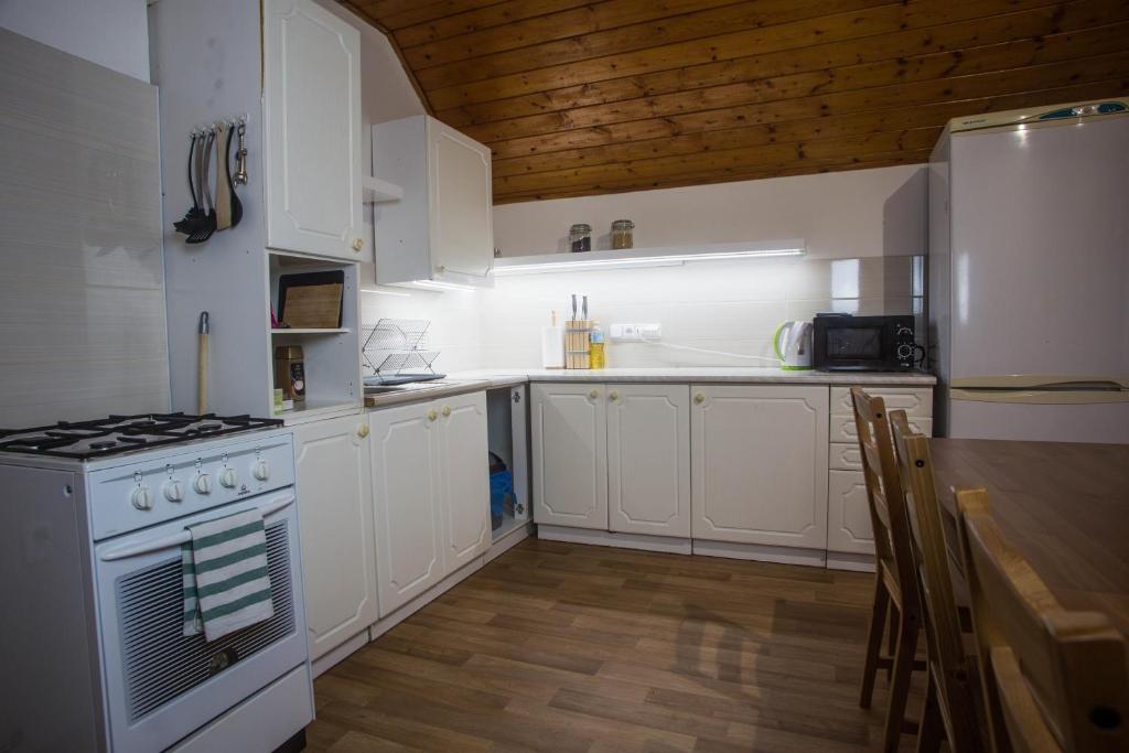 Kuchyň nebo kuchyňský kout v ubytování Apartmány Ve Mlejně
