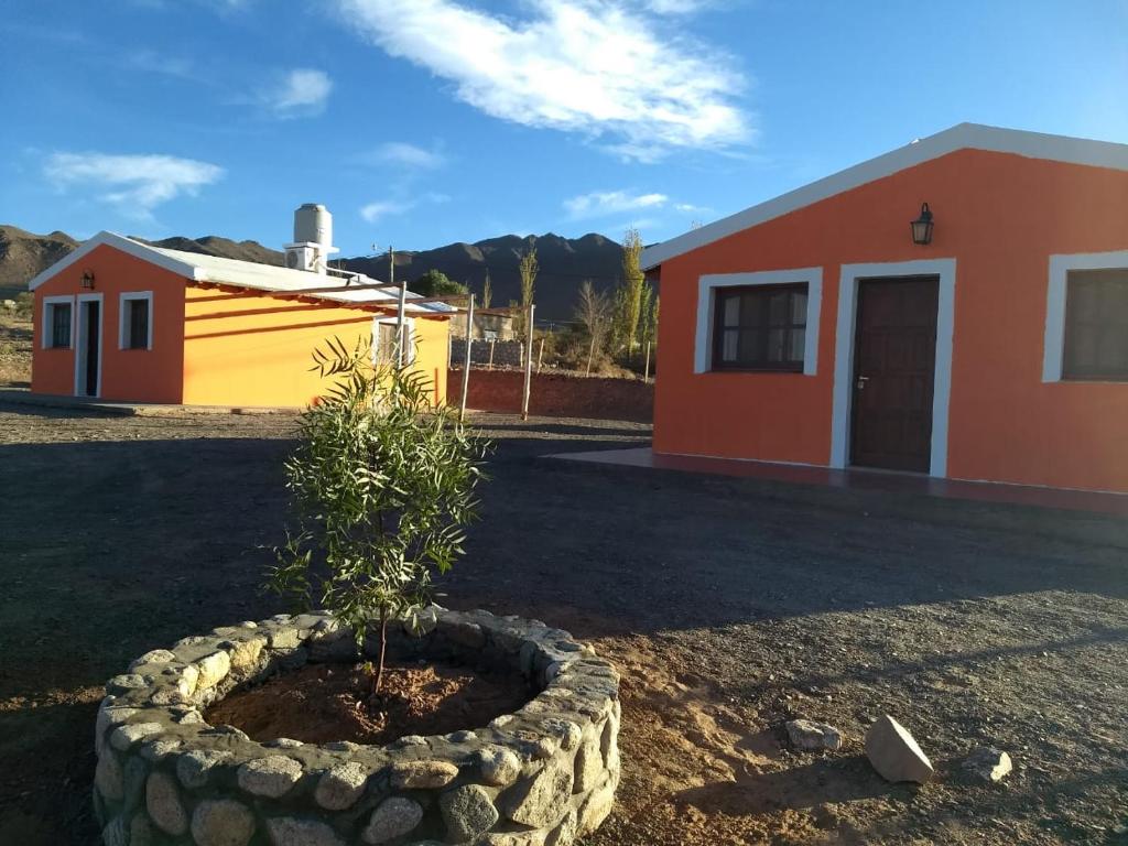 a small tree in a pot in front of a house at Cabaña Los Molles in Cachí