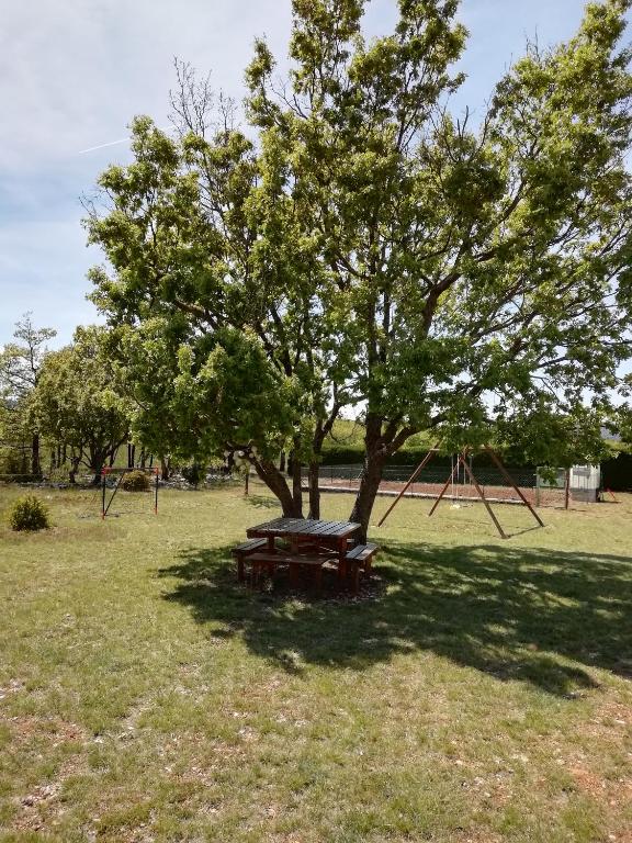 a picnic table under a tree in a park at LA MAGUETTE in Sault-de-Vaucluse