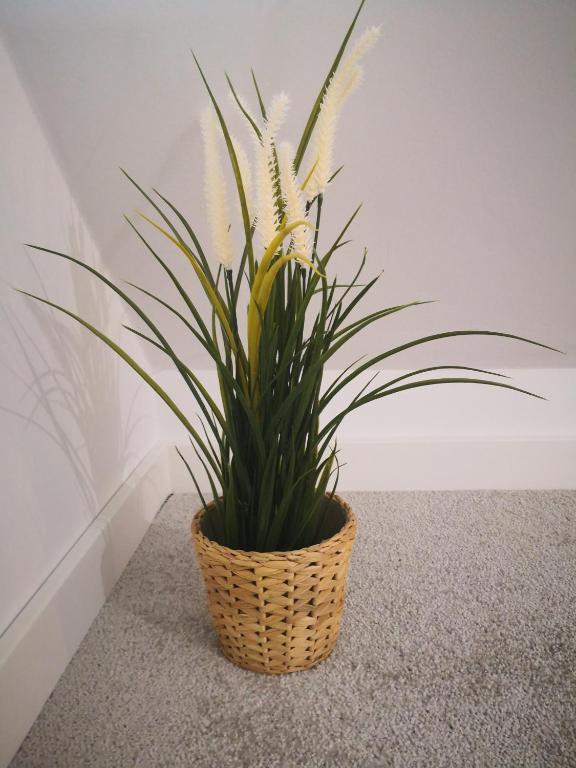 Miło Cię widzieć - 7