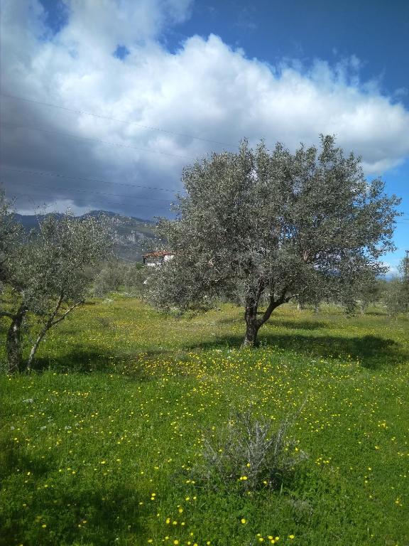 Fotografia z galérie ubytovania Elaias Gea -Kalampaka v destinácii Kalabaka