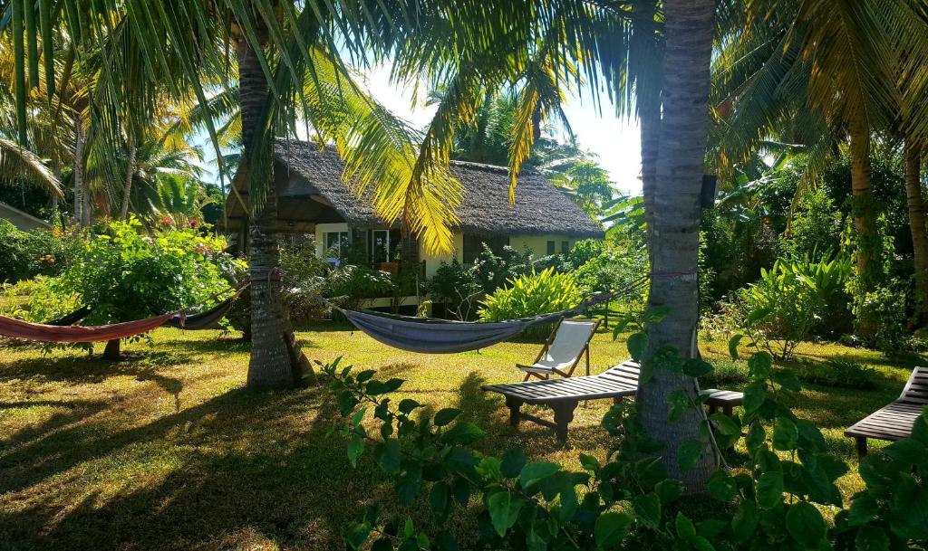 a hammock in the yard of a house at MADERA in Djamandjary